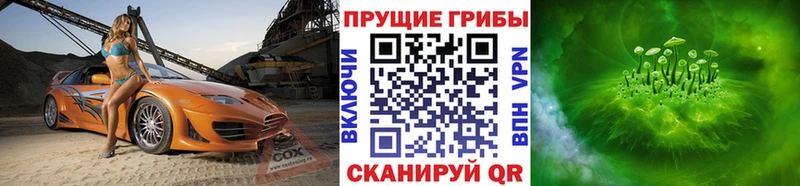 кракен онион  Власиха  Галлюциногенные грибы прущие грибы 